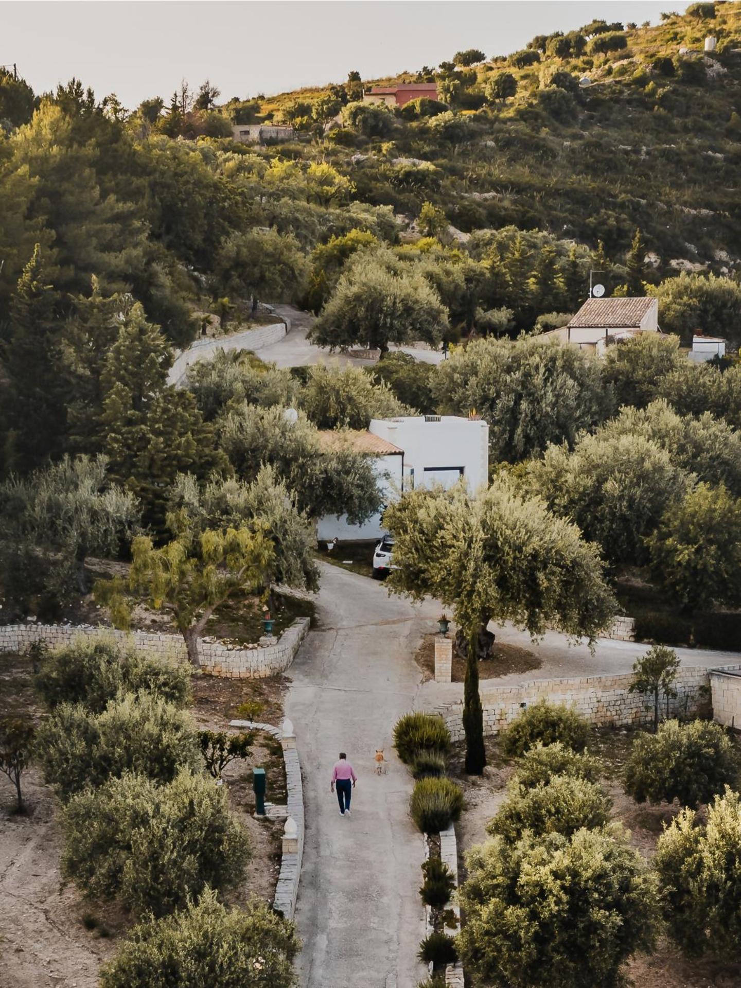 Tenuta Olive Alive Noto Ruang foto