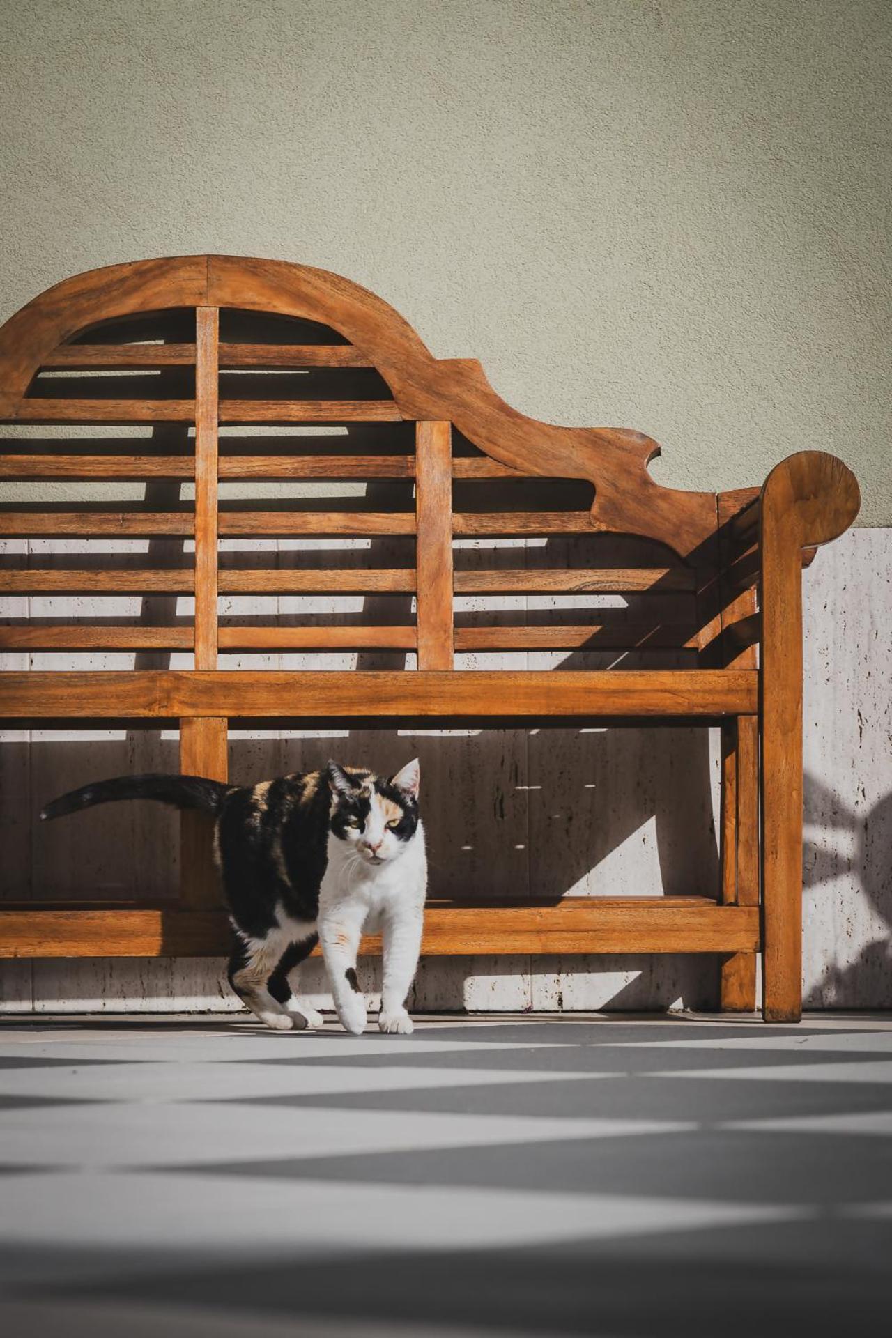Tenuta Olive Alive Noto Bagian luar foto
