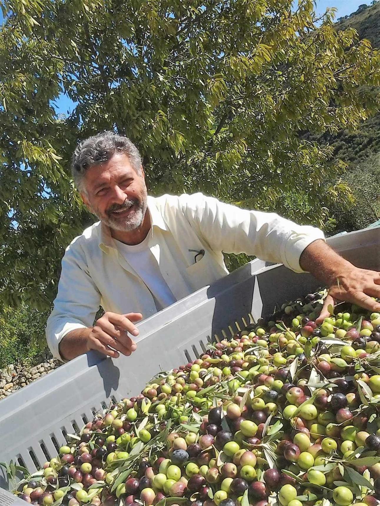 Tenuta Olive Alive Noto Bagian luar foto