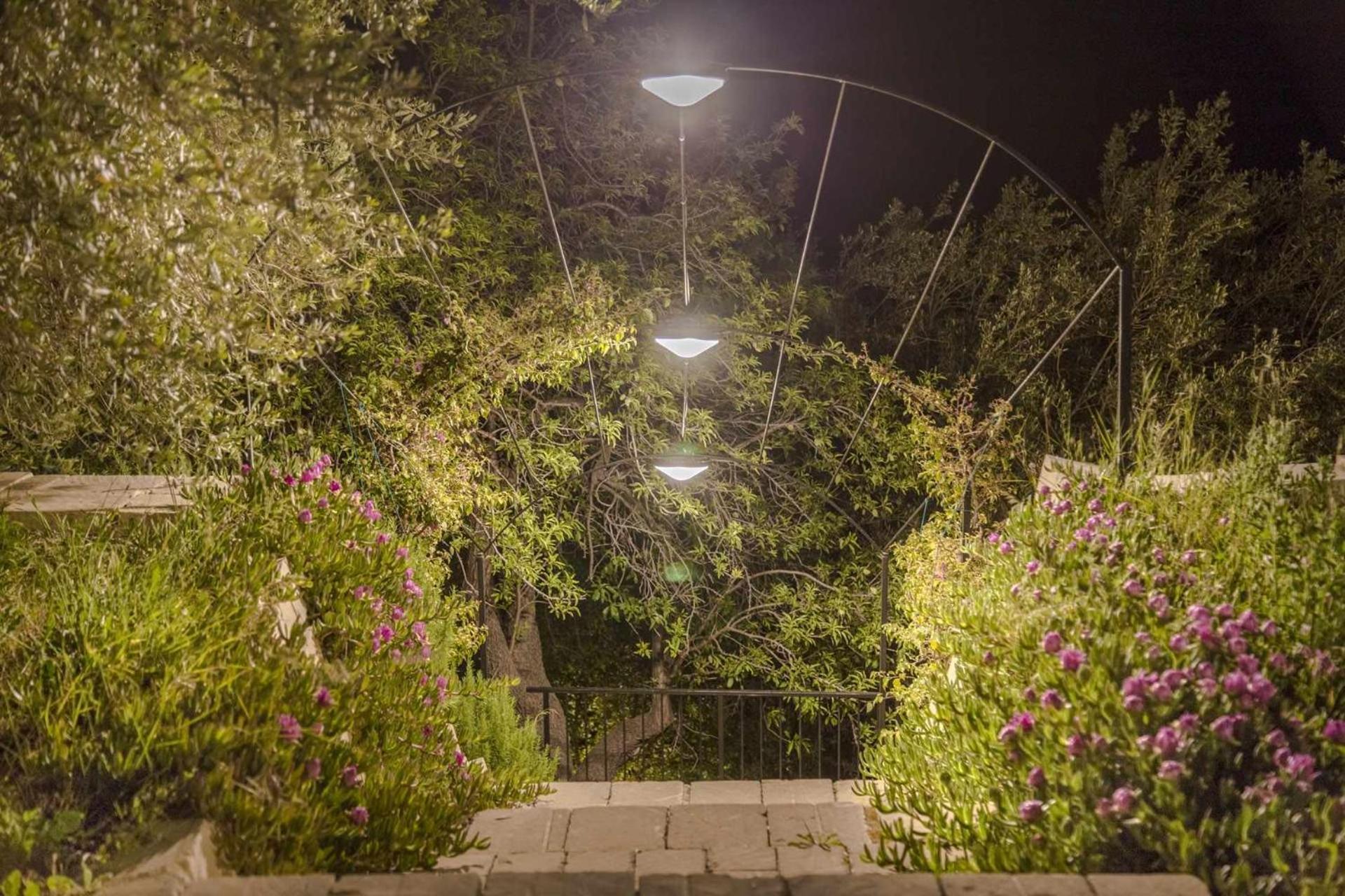 Tenuta Olive Alive Noto Bagian luar foto