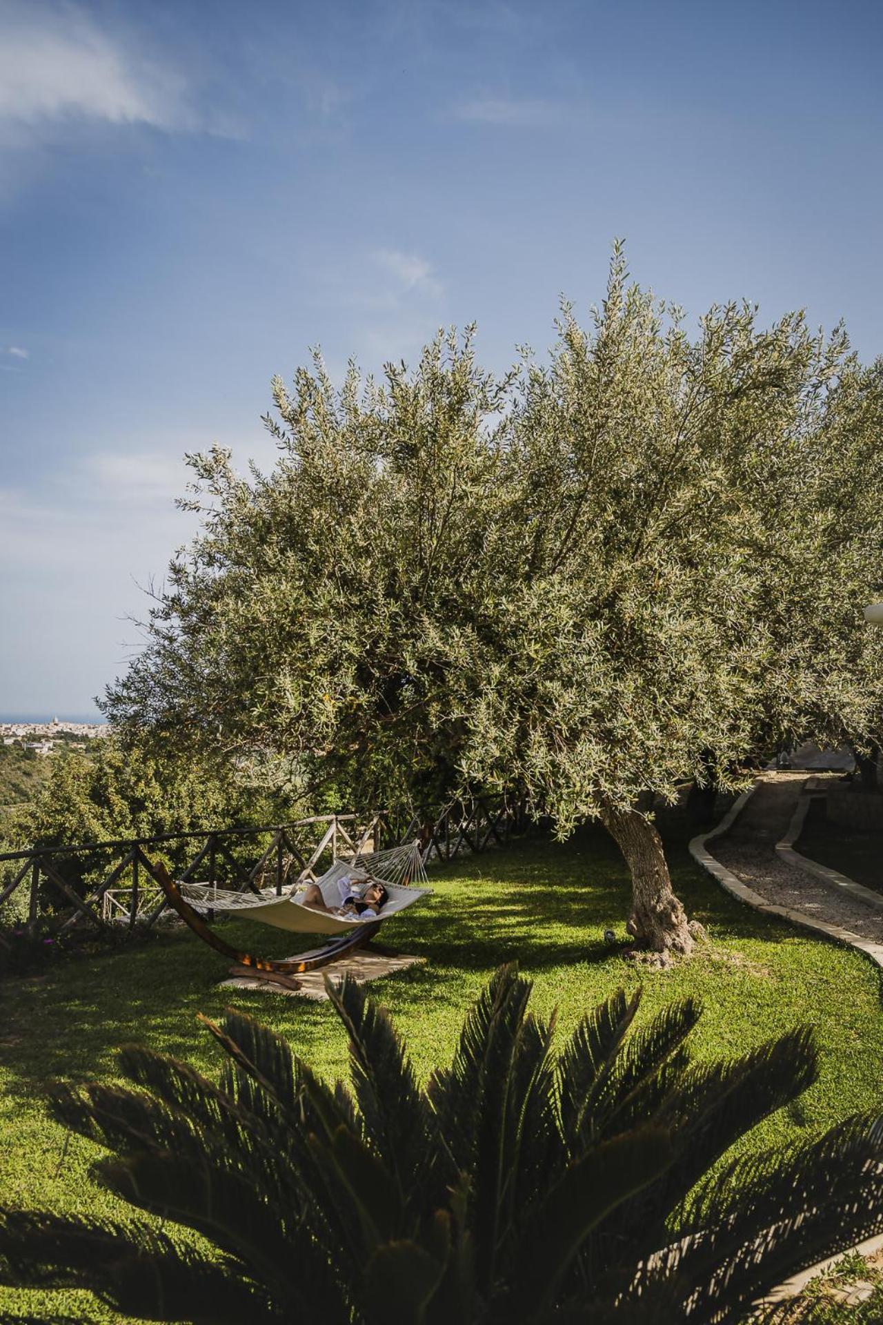 Tenuta Olive Alive Noto Bagian luar foto
